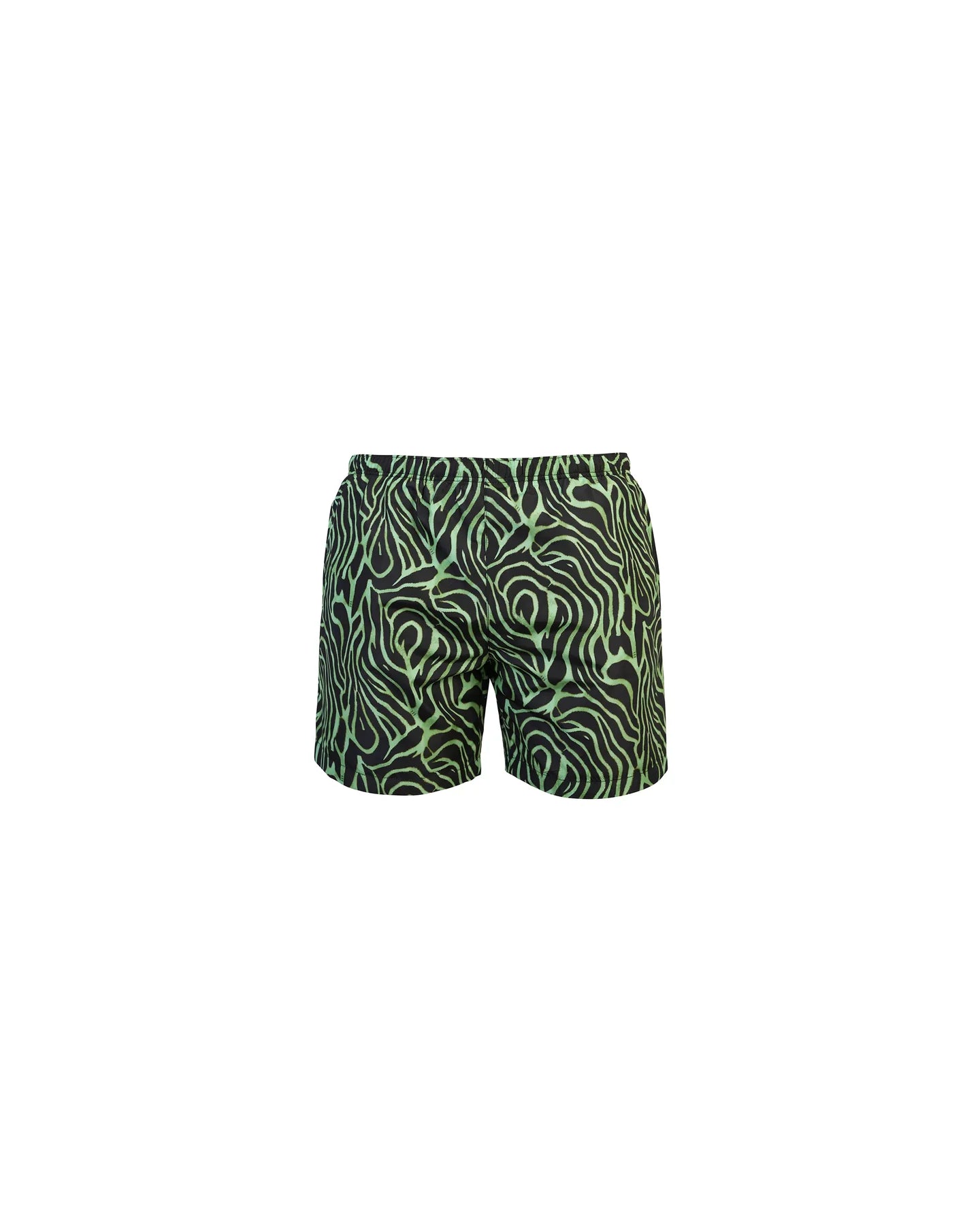 Costume da bagno fantasia zebra verde - YES SHOPCostumi da bagnoMATINE'EBUM7001-XXS1733353871871